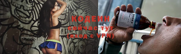 ешки Ельня