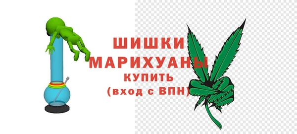 ешки Ельня