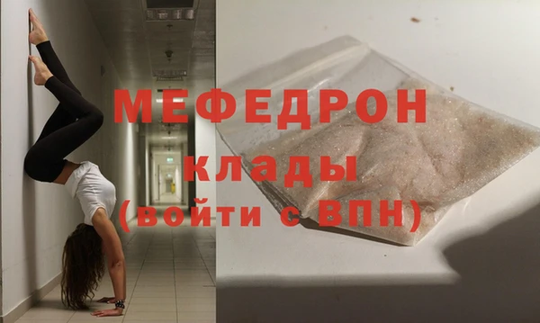 индика Елабуга