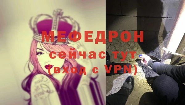 индика Елабуга